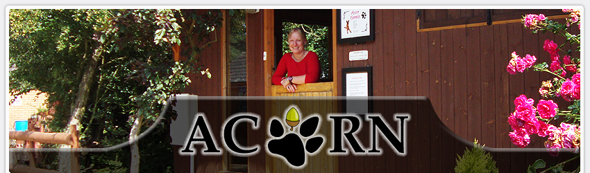 Acorn Boarding Kennels - Boarding kennels in Stowmarket